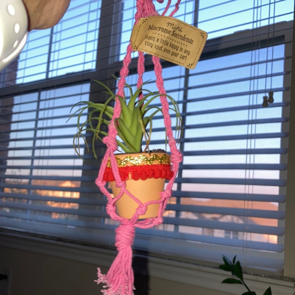 Natural Life mini macramé succulent